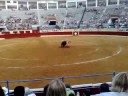 Indulto Finito de Cordoba Toiros Varela Corujo (parte 5 )