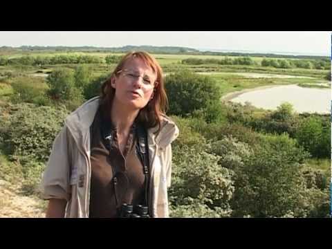 Voir la vidéo