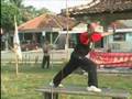 Merpati Putih Tradisi 2003 - (03)