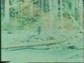 Patterson/Gimlin Bigfoot Video
