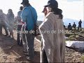 Sikuris de IMPA - Jujuy 2006