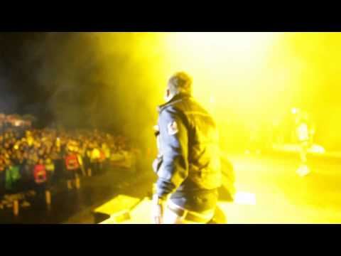 NEJO Y DALMATA - ESTADIO DE LOS ANDES -BOGOTA -