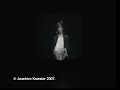 videoreportage fra Joachim Koester på Galleri Nicolai Wallner, 25.jan-29.mar08.