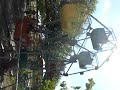 Ferris Wheel of sorts