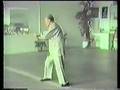 GRANDMASTER HUANG SHENG SHYAN white crane