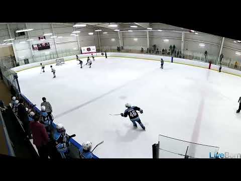 Hand Eye Coordination Marcus Carter #4 vs NCP @ OMHA Showcase - Baseball Snipe