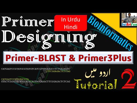 video-linktoworks-Primer Designing | Using NCBI Primer BLAST and...