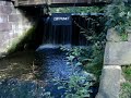 Wasserfall - Holzminden - Teichanlage