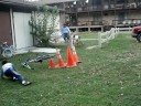 Cone Crasher Cone Crasher
