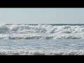 videos de In Search of Gunther