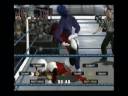 Part 2 of  Sonic the Hedgehog v.s Maverick Hunter Zero