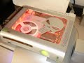 my xbox 360 skull