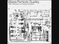 Wave-Particle Duality - Complex Exponential / Dirac Delta