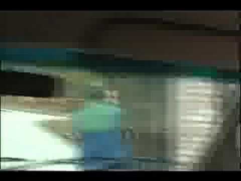 Mario Bros. plumbing service part 1
