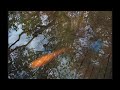 一炊の夢 一炊の夢