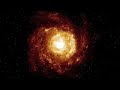 Black Holes