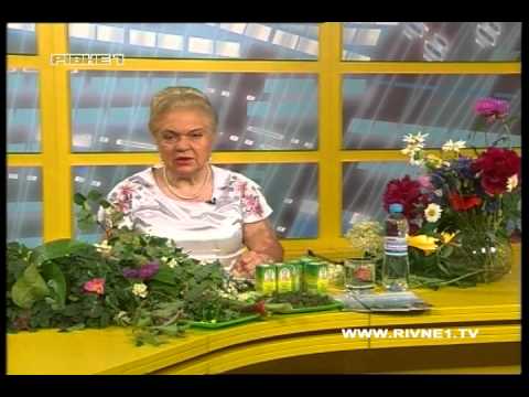 Чудодійні властивості акації і липи. Секрети молодості та краси від Наталії Земної