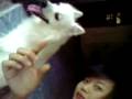 video-0023