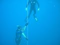 Sortie apnée en Guadeloupe