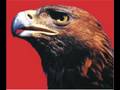 l'Enfer Rouge