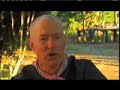 Peyote to LSD: A Psychedelic Odyssey-the Amazon