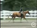 LEASED Up Til Dawn (Pony For Sale) LEASED Up Til Dawn (Pony For Sale)