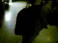 videos de Kung Fu Bas