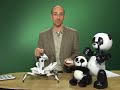 Roboquad and Robopanda Video Review