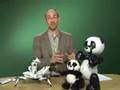 Roboquad and Robopanda Video Review