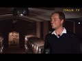 BRUNELLO DI MONTALCINO - Le stelle del Brunello