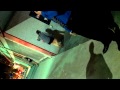 Drunk Girl Face Plant