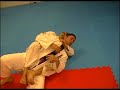 Gracie Jiu-Jitsu Escape from Back Mount