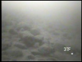 Thumbnail #3