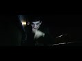 Click here to watch this video SOUND DYNAMIK feat RAS MAC BEAN - 
