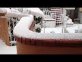 Neve a Pescara, 3 Febbraio 2012