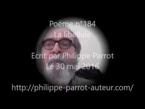 Image de prévisualisation YouTube