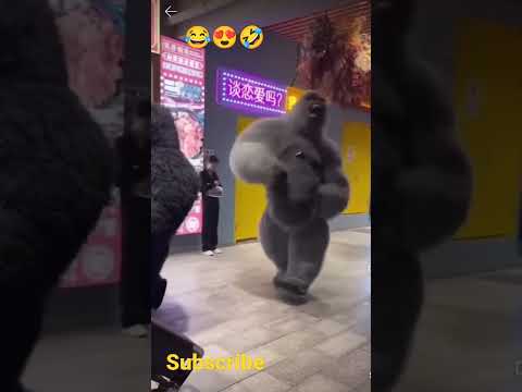 Gorilla suit || Funny video