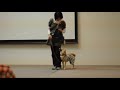 柴犬つくねと一瞬芸コンテストに出てみた動画