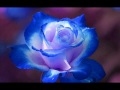 Click here to watch this video Dj Edward(In the mix)