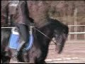 Trying to manage travers in canter...