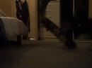RAMED SLO MO ATTEMTED and just a kickflip and heelflip