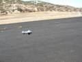 Eflite P-38 maiden vid part II the landing :)