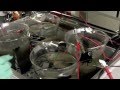 How Microbial Fuel Cells Work?
