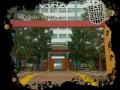 SLIIT The Scene Unseen