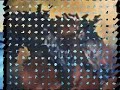 caballo prieto azabache caballo prieto azabache
