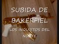 CORRIDOS CON BANDA