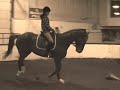 What Do You Think Of This Riding?!?!?!?!?! *Shade* What Do You Think Of This Riding?!?!?!?!?! *Shade*