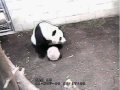 2009-11-21 Yun Zi Visits the Garden Room (and other scenes)