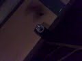 tom running across another wall.
