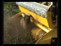 W-Forrest1.wmv